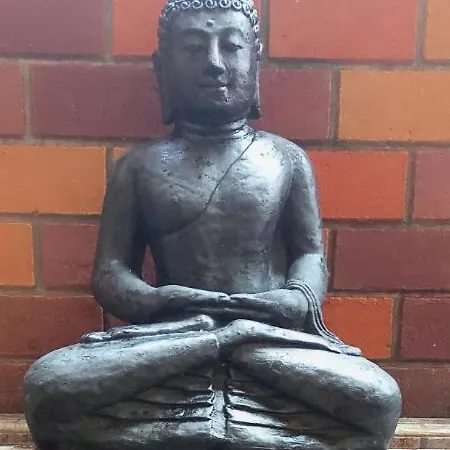 Zen Moon Hostel